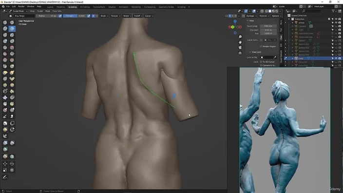 2-16. Finishing The Back Torso