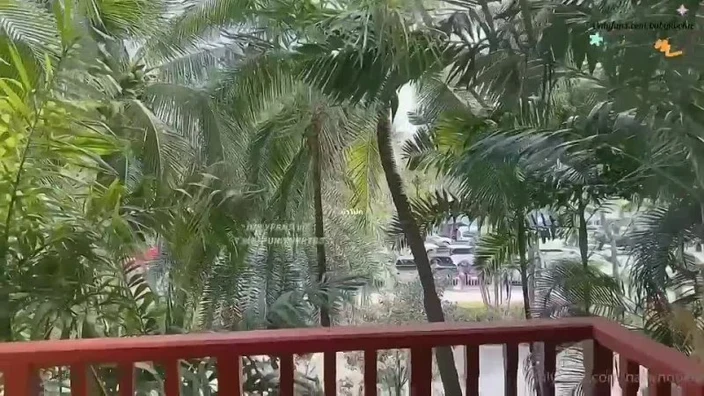 Videos_181.mp4