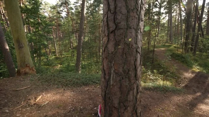 We got caught having sex in the forest, then continued with a quickie creampie on the beach