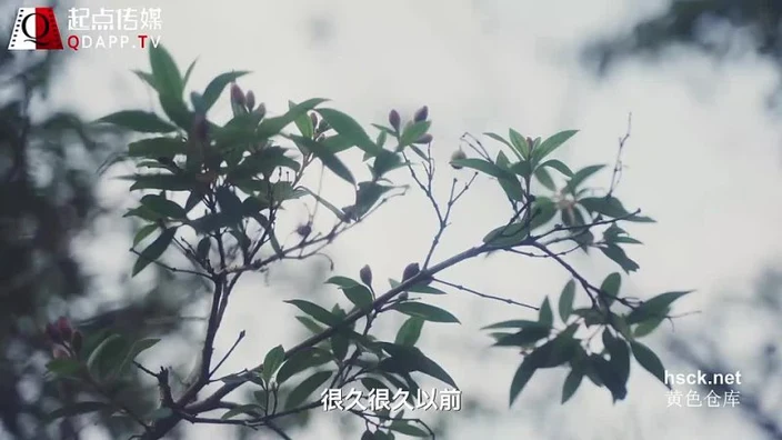 Qidian Media XSJ 007 Sleeping Beauty.Prince Bad Bad Princess Love ?Yu Rui