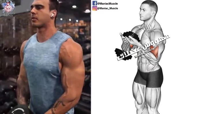 Full Body HOME Dumbbell WORKOUT (squats, chest ,triceps, biceps , back, shoulder, wrist, Calves )