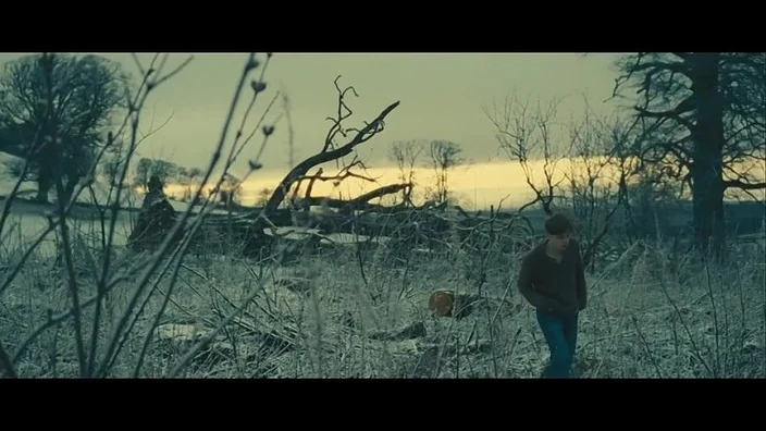 Холлэм Фоу / Hallam Foe (2007)
