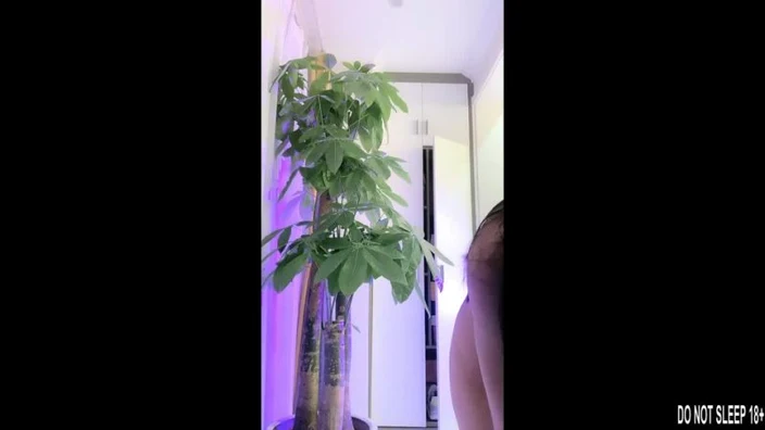 Соло молодые девушки красивые девушки 18+ порно HD steps sister blowjob Mather blowjob milf russian оргазм