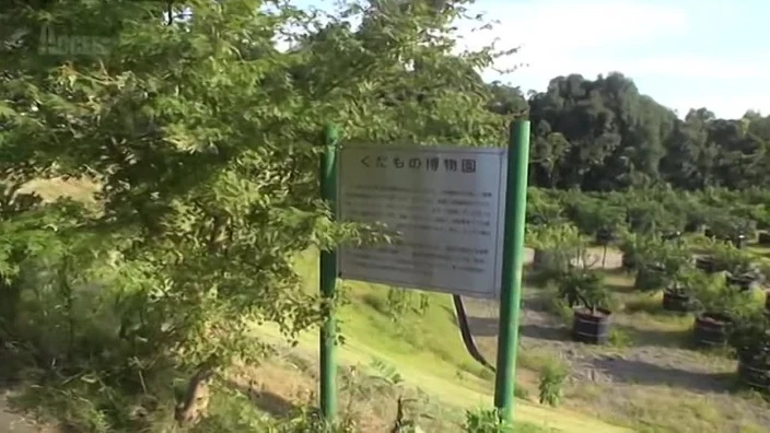 [Acceed] Shootiing Sex Tour the Entire Length of Japan Part A