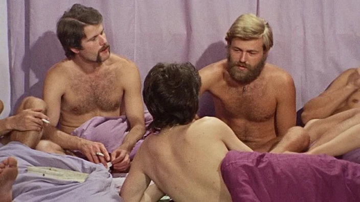 Nicht.der.Homosexuelle.ist.pervers.sondern.die.Situation.in.der.er.lebt.1971.German.720p.BluRay.x264-iFPD