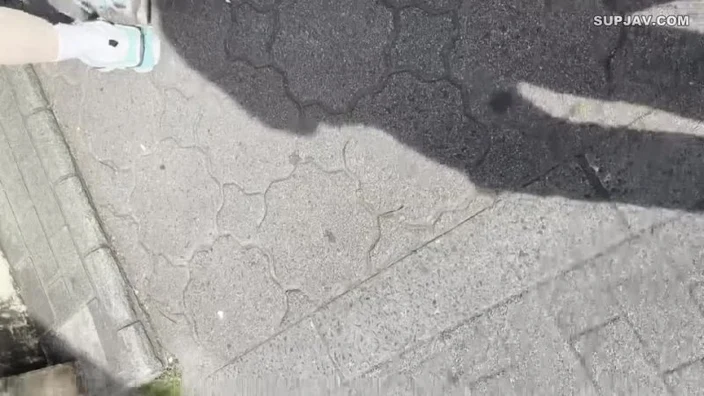 Video by Crane X