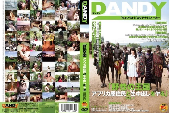 DANDY-342 4 | HD (2013) | Ayumi Iwasa
