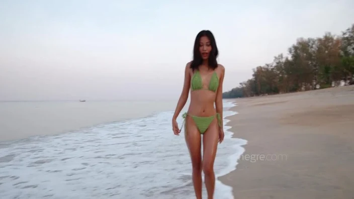 Hegre.20.10.13.Hiromi.Nude.Beach.Video.1080p